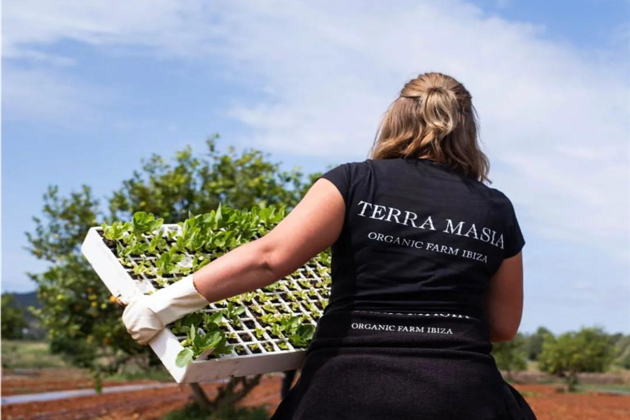 Terra Masia - Job description Market Gardener