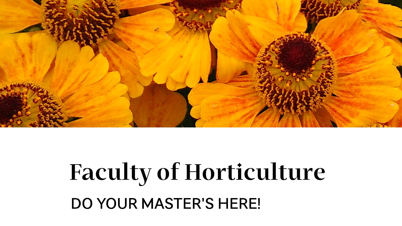 Do your master's here!