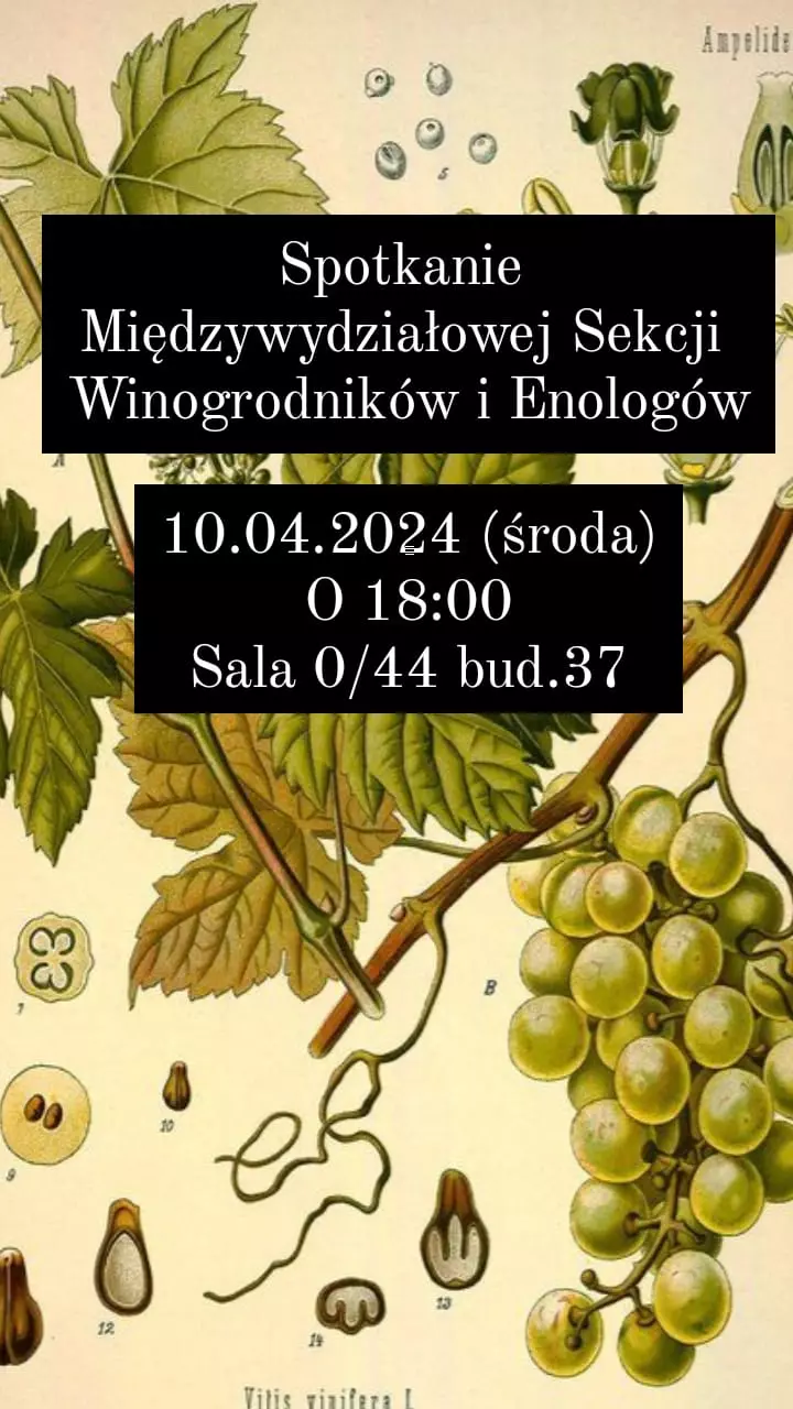 Spotkanie Międzywydziałowaej Sekcji winogrodników i enologów