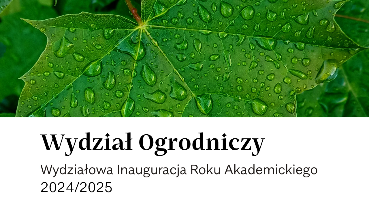 Wydzia­łowa Inau­gu­ra­cja Roku Aka­de­mic­kiego 2024/2025