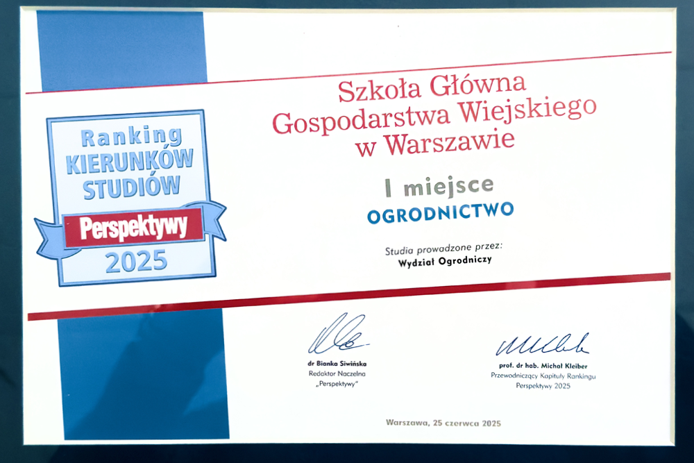 Ranking kierunków studiów Perspektywy 2025