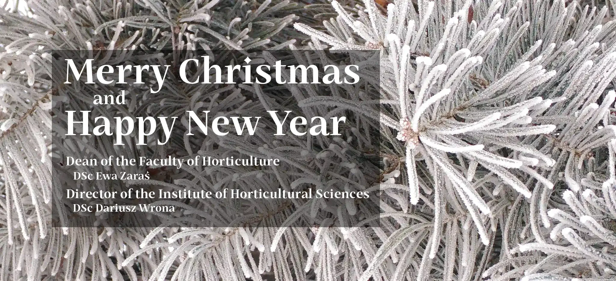 Best wishes for a wonderful Christmas, with the warmth of family and great joy. A Christmas of joy and peace and the hope of a New Year even better than the one we have just had.Wishing youDean of the Faculty of Horticulture DSc Ewa ZaraśDirector of the Institute of Horticultural Sciences DSc Dariusz Wrona
