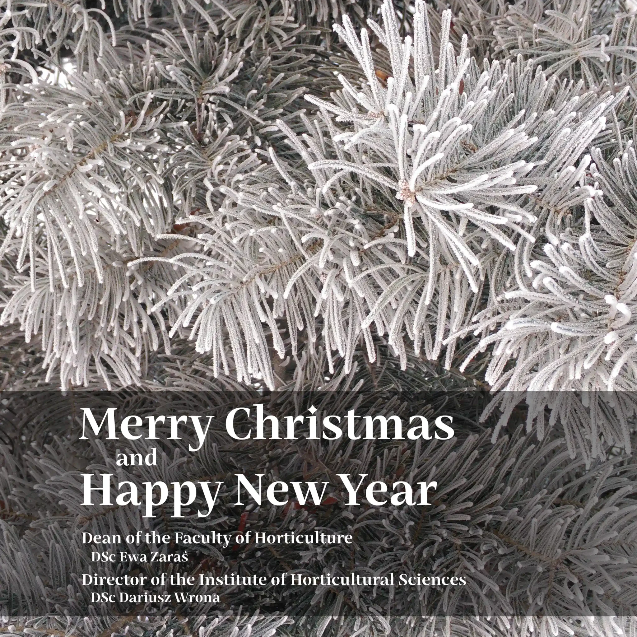Best wishes for a wonderful Christmas, with the warmth of family and great joy. A Christmas of joy and peace and the hope of a New Year even better than the one we have just had. Wishing you Dean of the Faculty of Horticulture DSc Ewa Zaraś Director of the Institute of Horticultural Sciences DSc Dariusz Wrona A Christmas of joy and peace and the hope of a New Year even better than the one we have just had. Wishing you Dean of the Faculty of Horticulture DSc Ewa Zaraś Director of the Institute of Horticultural Sciences DSc Dariusz Wrona