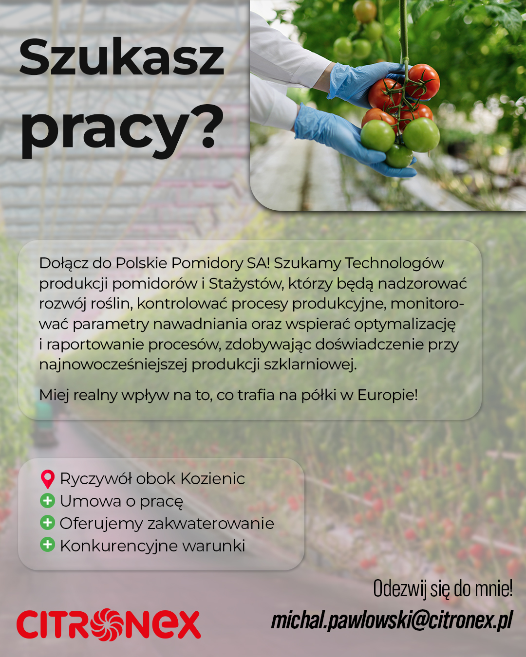 Praca: Citronex Ryczywół