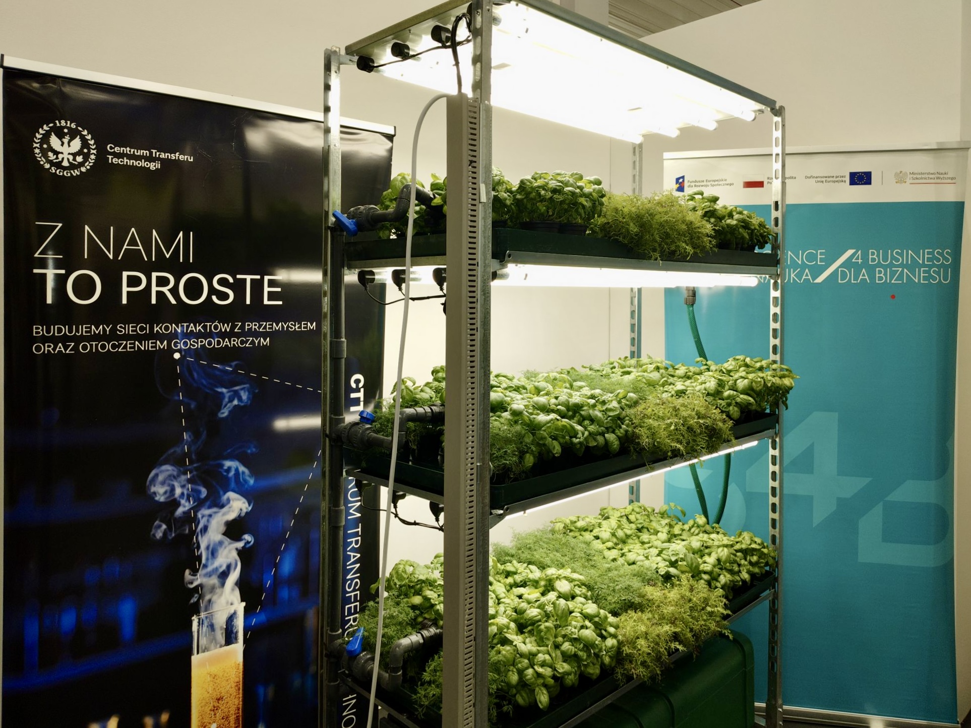 Jesteśmy na 6. edycji Międzynarodowych Targów Ogrodnictwa Warsaw Garden Expo