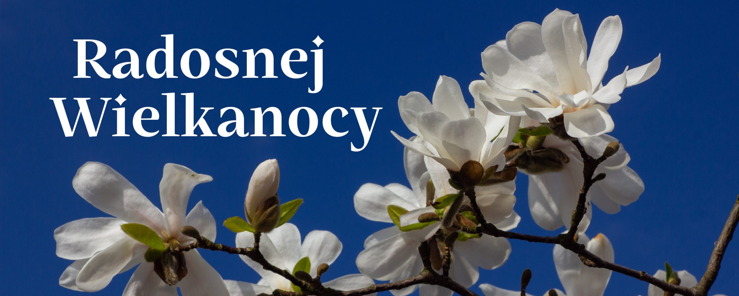 Radosnej Wielkanocy 2026!