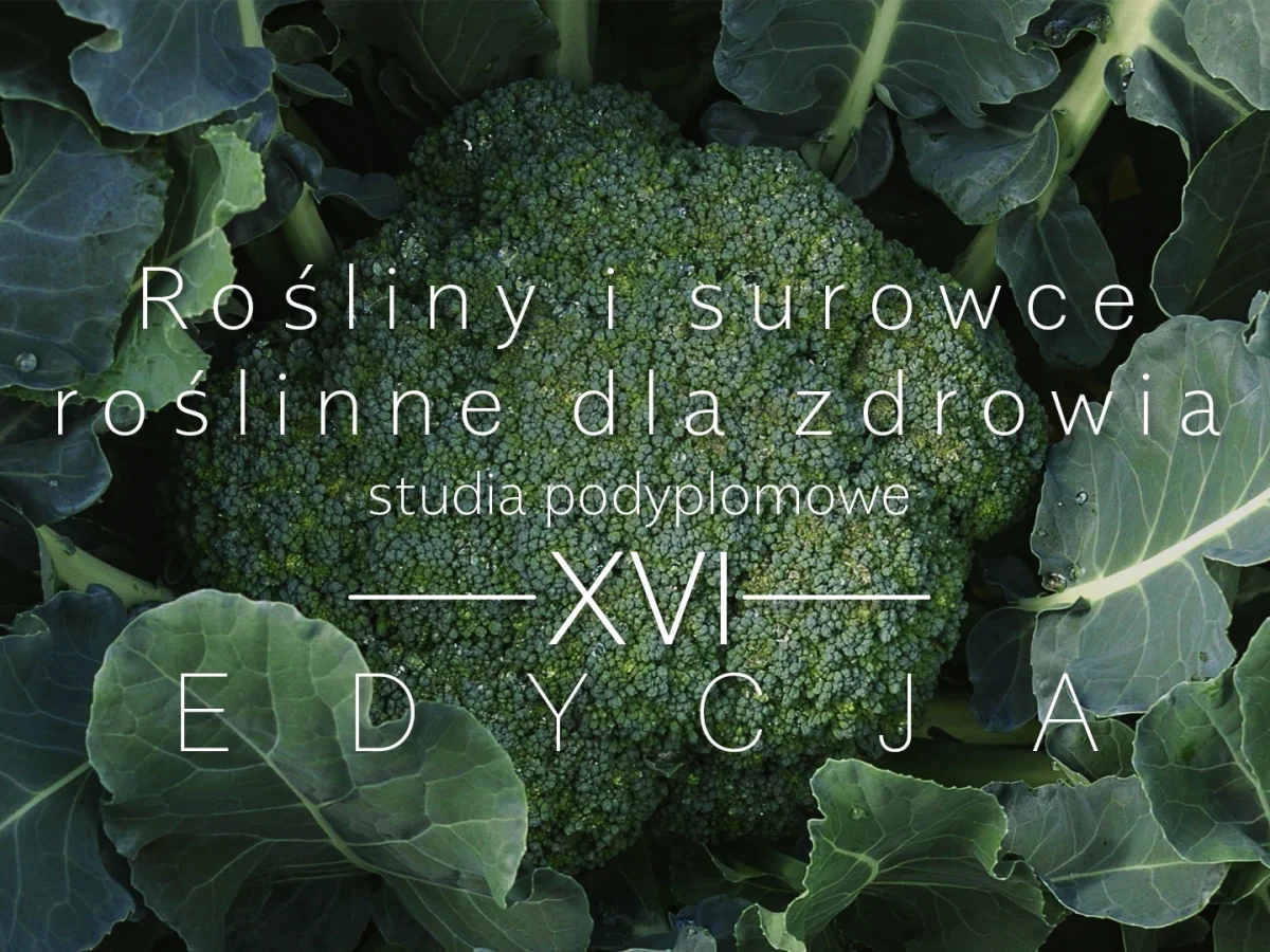Studia podyplomowe Rośliny i surowce roślinne dla zdrowia XVI edycja